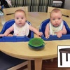 bebes1