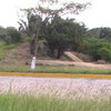 Brechas