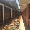 Cambio de Barda perimetral