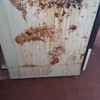 cochambre en estufa