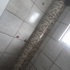 Colocacion de Azulejo
