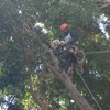 Colocando al polea de bajada.