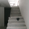Construcción escalera