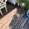 Deck cumarú con su anterior acabado