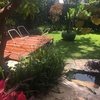 Deck de madera