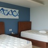 DECORACION EN HABITACION DOBLE