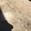 Demolición de muro existente y excavación para cimentación