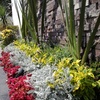 DISEÑO DE JARDINERÍA