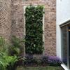 En 2 hrs un jardín vertical totalmente terminado, con riego manual