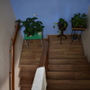 Escaleras nuevas y pasamanos.