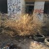 Escombro inicio