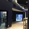 exhibicion konkak