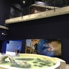 exhibición konkak