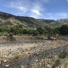 Formación de Bordos y Desazolve de Rios
