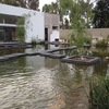 Foto general del estanque en San Luis Potosí