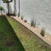 Gravilla y plantas perimetrales con separador de PVC
