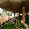 Hipico
