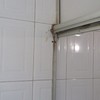 hongo en paredes pared y estante
