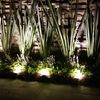 Iluminación en jardin