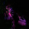 ILUMINACIÓN JARDIN