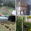 Instalación/Módulo de producción/huerto/Tres Marías,Huitzilac,Morelos.