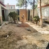Jardin 60%
