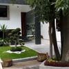JARDIN FRONTAL