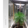 JARDIN INTERIOR