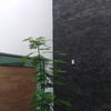 JARDIN INTERIOR