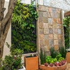 Jardin Vertical