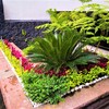 Jardinera del Estacionamiento