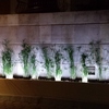 JARDINERAS CON BLOCK CARA DE PIEDRA