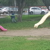 JARDINERIA