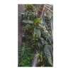JARDINERIA HEADS