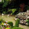 Lago artificial