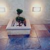 LOFT GARDEN || PUEBLA  || DESPUÉS