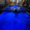 luz led a color