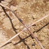 SISTEMA DE TIERRAS