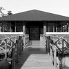 Palapa