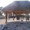 Palapa