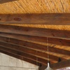 Palapa
