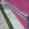 Pared