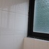 Pared de sanitario terminada