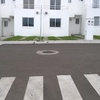 Paso peatonal