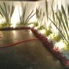 PATIO TRASERO
