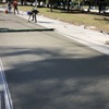 Pavimentación