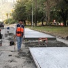 Pavimentación