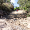 Pavimento empedrado ahogado en el Guamúchil
