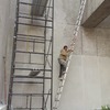 Pintando sobre jardineras.