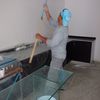Pintura